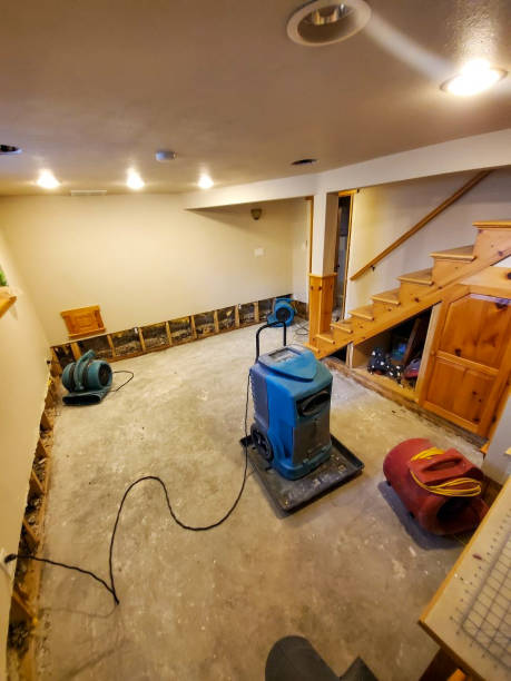 Structural Drying Services